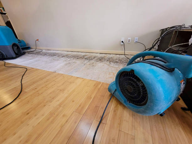 Professional Water Damage Repair technician working in San Manuel, AZ